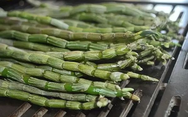 Ϊʲôʯ�������Ŵ��ɲ�֮��,ʯ���Ĺ�Ч������