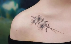 Ϊʲô�������˻ᱻ��Ϊ��������