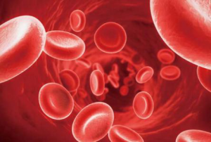 <b>Ϊʲô�ư�ϸ��Ϊ��������ʿ��_��ϸ������Ϊ������ʿ��ԭ��</b>