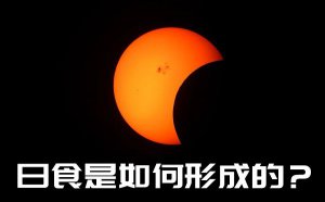 Ϊʲô�������ʳ_��ʳ�������γɵģ�