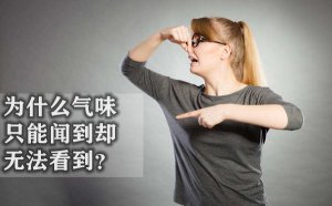 ��ζΪʲô������_Ϊʲô��ζֻ���ŵ�ȴ�޷�������