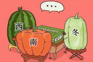 Ϊʲôû�б���_������ʲô�ϣ�