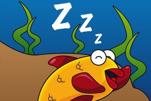 ��Ϊʲô�����۾�˯��_������ô˯���ģ�