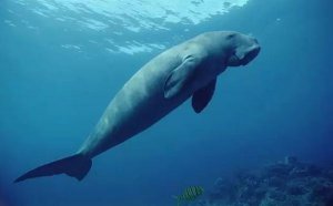 ����Ϊʲô��������_���ޱ���Ϊ�������ԭ��