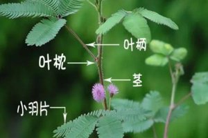 ���߲�Ϊʲô�ᶯ_���߲�Ϊʲô�Ầ�ߣ�