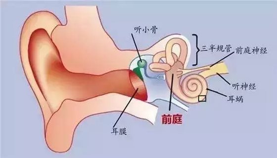 Ϊʲôγ˿γ,γγԭʲô