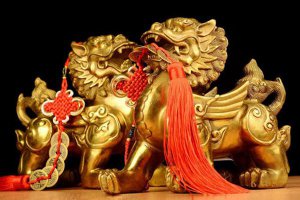 Ϊʲô����ֻ������_����Ϊʲô�в�_������Ԣ����ʲô?