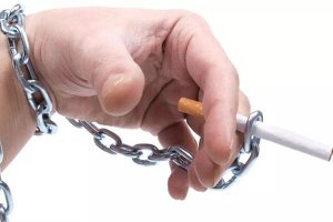 Ϊʲô���̻����_���������ô���_����9��С�����͸���