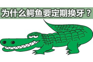 Ϊʲô����Ҫ���ڻ���_����һ�������ٴ�����