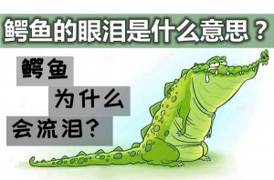 ����Ϊʲô������_�����������ʲô��˼��