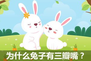 Ϊʲô������������_���ӳ��������������ʲô��