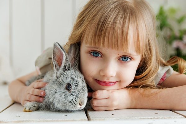 Ϊʲô,ӳ