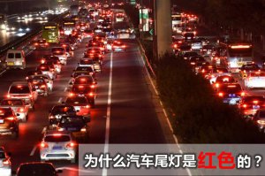 Ϊʲô����β�ƶ��Ǻ�ɫ�ģ�