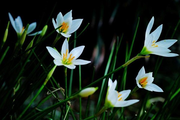 Ϊʲô��ˮ��һֱ�������������׸�