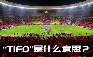 ��TIFO����ʲô��˼_tifo��ô��_tifoΪʲôֻ��һ�Σ�