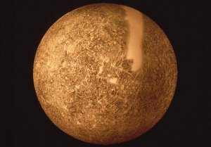 ˮ��Ϊʲô��ˮ��_ˮ�����ֵ�����