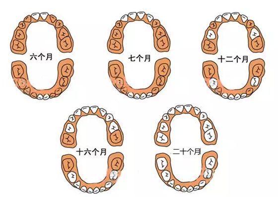 ΪʲôյСû,ΪӤû