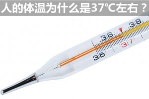 �˵�����Ϊʲô��37�����ң�