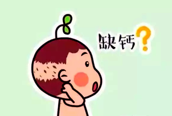 ȱΪʲô,ȱô