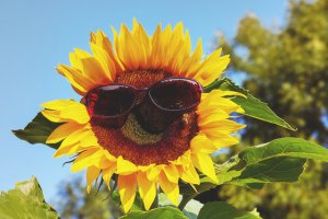 Ϊʲô����̫ǿҲ��ʹ�˽��ӣ�