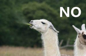 Ϊʲô������Һ��Ӱ�콡��_�����¿�ˮ��ʲôΣ����