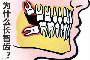 ��Ϊʲô�᳤�ǳ�_�ǳ�һ��Ҫ����