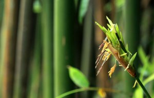 ���ӿ�����_���ӻ᲻�Ὺ����