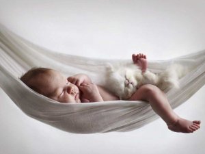 Ϊʲôһ������ͷ���_������˯����ô�죿