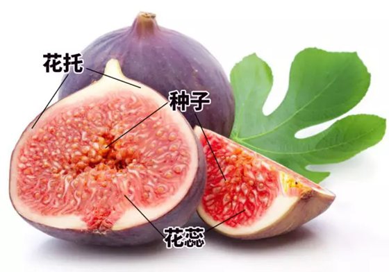 ޻ûл,Ϊʲô޻