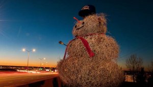 �����Ϊʲô����������