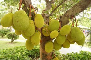 ������Ϊʲô���������ϣ�