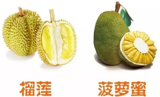 Ϊʲô