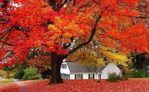 ʲô���ܲ���_�ܲ��ǵ���