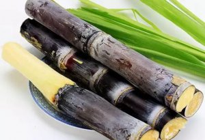 Ϊʲô�����²����ϲ���_Ϊʲô����ֻ��һͷ��