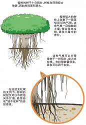 ����Ϊʲô���ľ���֣�