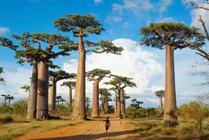 Ϊʲô˵�������������֮����