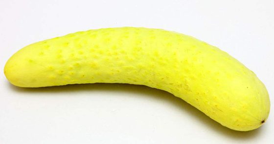 ΪʲôеĻƹϷ,ƹϿô