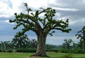 Ц��Ϊʲô��Ц��_Ц����Ц��ԭ��