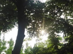 ����Ϊʲô�ᡰ���֡���