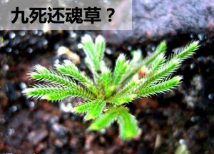 ����Ϊʲô�С��������ꡱ�ı��죿