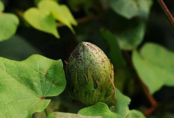 �޻��ǻ���,Ϊʲô�޻����ǻ�,�޻����ǻ���ԭ��