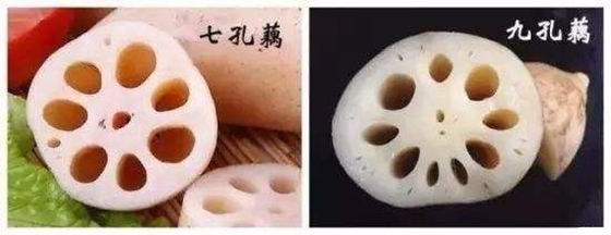 Ϊʲôźкܶ,źΪʲôп