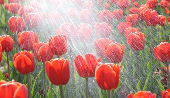 Ϊʲô�������粻�ܽ���,��ν����ſ�ѧ