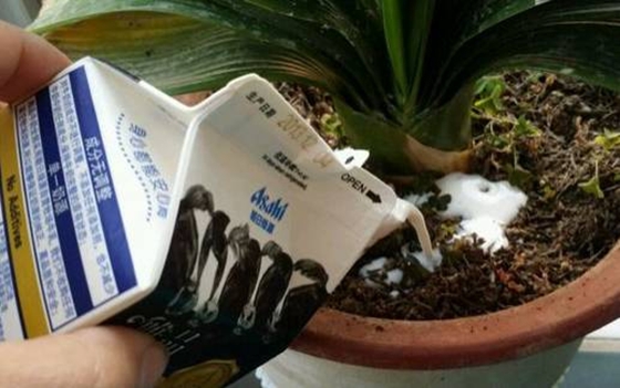 Ϊʲô�������粻�ܽ���,��ν����ſ�ѧ