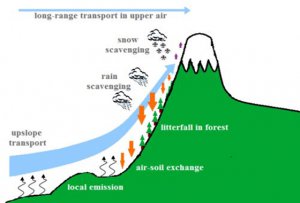 ΪʲôɽԽ��ֲ��Խ�٣�_����Խ��ֲ��Խ����ԭ��