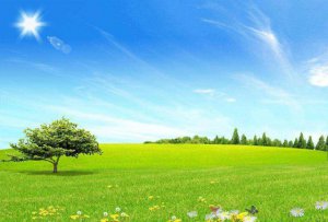 ��ƺ����������Щ��_��ֲ��ƺ�ĺô���ʲô��