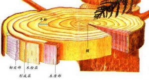 ����֪����������_�������ֵ�����