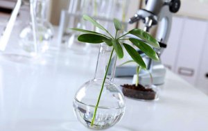 Ϊʲô�Թ���������ֲ�