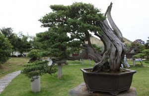 <b>������ʲô����_��������Щ�ص㣿</b>