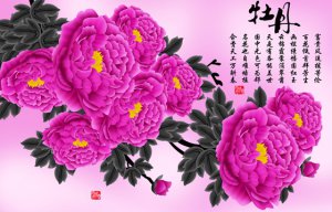 Ϊʲôĵ������Ϊ����֮����